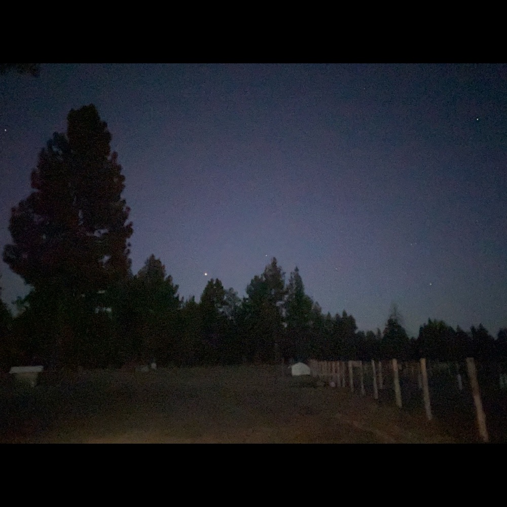 Meet your Posher, Santa